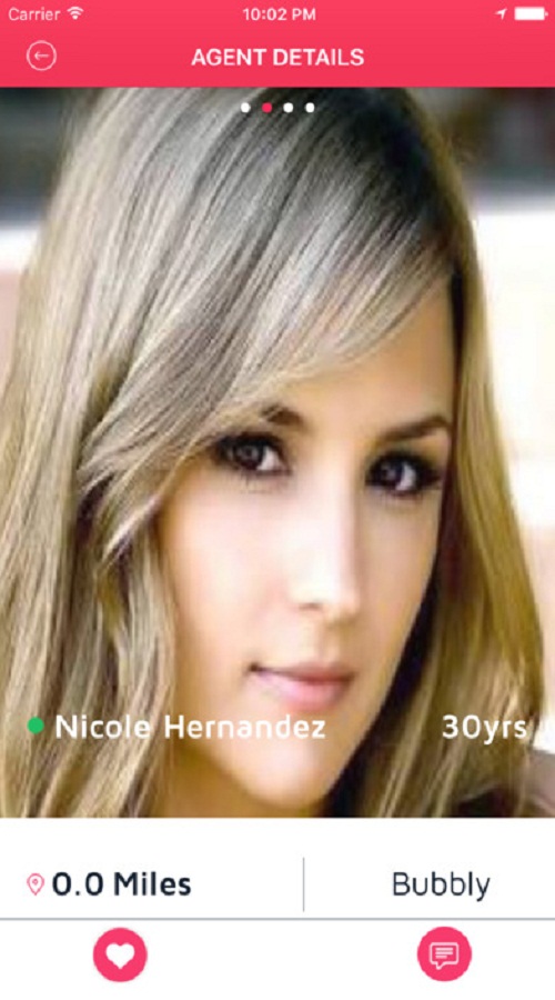 CompanyMapp screenshot 5